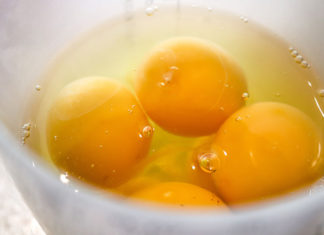 Manfaat Kuning Telur Untuk Kucing